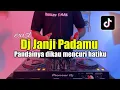 Download Lagu DJ PANDAINYA DIKAU MENCURI HATIKU | DJ JANJI PADAMU EXIST  2024