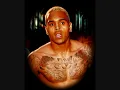 Chris Brown feat. Ludacris-Wet The Bed(Audio)