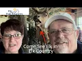 See Live Elk at Benezette PA