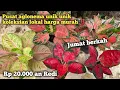 OBRAL JUMAT BERKAH Rp 20.000 an redy koleksian lokal ‼️