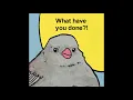 When you start a mission in Warframe