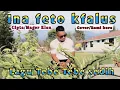 Download Lagu TEBE SEDIH_INA FETO KFALUS_COVER_REMI BERE_MUSIK: EROS BRIA