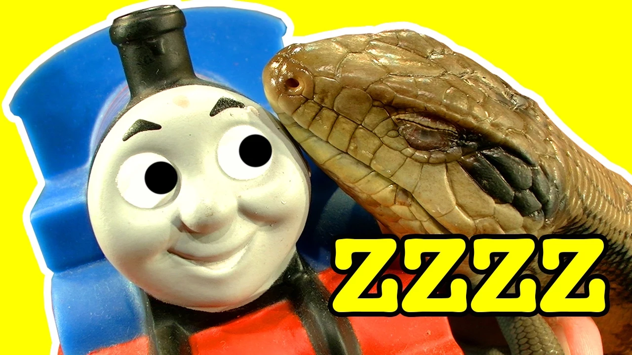 Thomas The Tank & Sleeping Dinosaur Lullaby AMAZING CUTE NATURE VIDEO