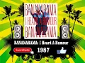 Bananarama - I Heard A Rumour  (Radio Version)