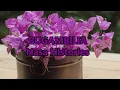 Nasa Histories - Bugambilia | Karaoke |