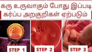 early pregnancy symptoms in tamil by doctor implantation symptoms in tamil