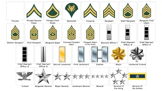 Every US Army Rank Explained