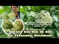 Download Lagu Bunga Elder dan Musim Panas | Membuat Socată di Desa Moldova  – Minuman tradisional Orang Rumania