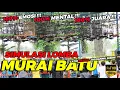 Download Lagu VIDEO LATIH MENTAL MURAI JAWARA ❗ | SIMULASI LOMBA MURAI BATU JERNIH FULL TEMBAKAN
