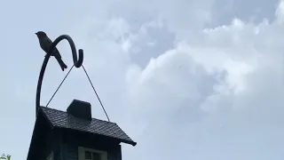 ليالي الشمال الحزينة فيروز 