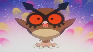 Wings s Hoothoot evolves into Noctowl