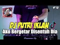 Download Lagu DJ AKU BERGETAR DISENTUH DIA REMIX | ST 12 PUTRI IKLAN VIRALL TIKTOK FULLBASS 2021