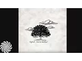 Download Lagu DigiCult - Icarus One (Lamat Remix)