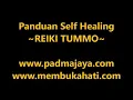 Download Lagu Panduan Self Healing -- Reiki Tummo