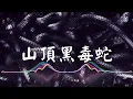 Download Lagu 山頂黑毒蛇 （Alefo Remix）