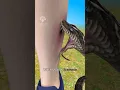 Download Lagu What Happens Inside Your Body When a Snake Bites You #snakebite #short - Creativelearning3d