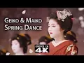 Download Lagu Kyoto Event: Kitano Odori Dance Performance [4K]