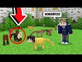 Download Lagu AKU NYAMAR JADI HEWAN PALING KOCAK DI PETAK UMPET MINECRAFT!!!