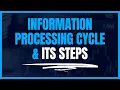 Information Processing Cycle its Steps Explained by Sohaib Saleem in