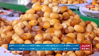 أسواق مدن وادي حضرموت تنتعش بأنواع مختلفة من الرطب في موسم الخريف 