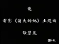 張碧晨-籠（電影《消失的她》主題曲）歌詞