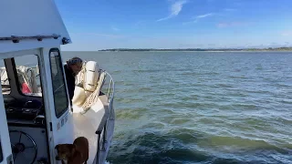 Cruising “The Ditch” – ICW