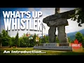 Download Lagu What's Up Whistler brought to you by WHISLIFE! - An Introduction  (whislife.com)