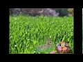 easter bunny gif