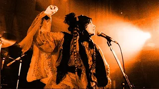 Download Lene Lovich - Peel Session 1979 MP3