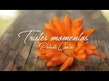 Download Lagu Tristes momentos - Roberto Carlos - Letra - HD