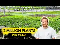 Day In The Life of Greenhouse Business Plant Growing Tips