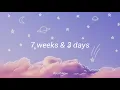 Download Lagu yungatita - 7 weeks \u0026 3 days/ LYRICS ~♡