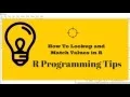 R Programming Tips Match Function
