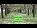Download Lagu Home Again -  Mayumi Itsuwa - Romaji Lyrics
