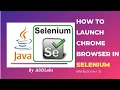 How to launch Google Chrome Browser in Selenium Web driver 3 Web Automation