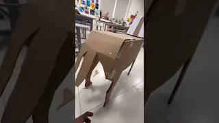 Sheep making with carton box cotton etc
