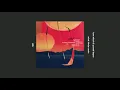 tom misch & yussef dayes _ what kinda music