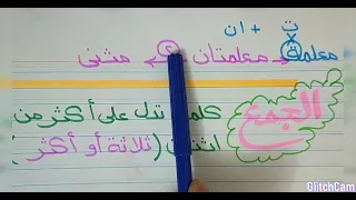 يعني ايه المفرد والمثني والجمع لكي جي والصف الأول الابتدائي 