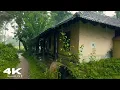 Download Lagu Tropical Rain Walk in a Rural Indian Village - Relaxing Rain Sounds for Sleep, Study \u0026 Stress Relief