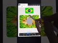 Realistic Brazil Flag - Procreate Art