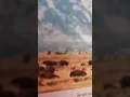 fear of the Lord proverbs 3 amplified
