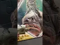 The last piece Star wars Oddly satisfying