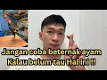 Download Lagu Mau berbisnis ayam harus paham ini dulu 🔴