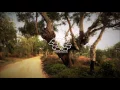 Tycho - A Walk
