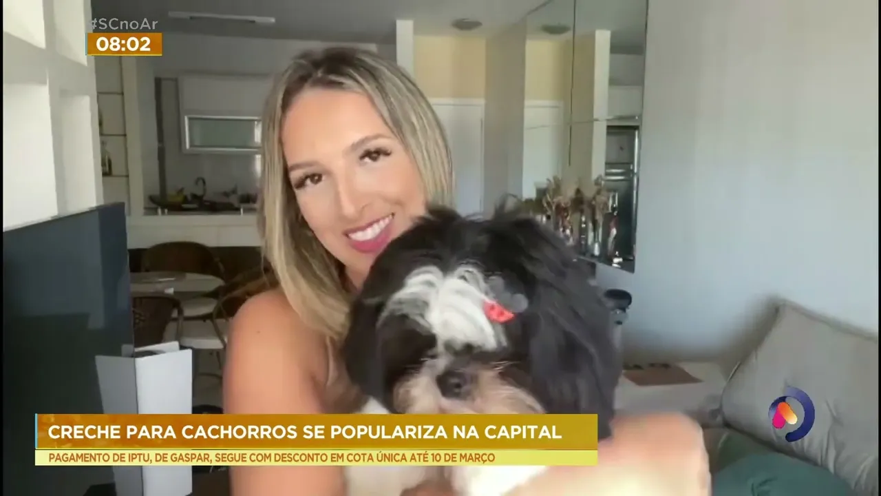 Donos de animais de estimação têm procurado, cada vez mais, o serviço de 'creche para cachorro'
