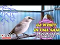 Download Lagu PANCINGAN SUARA TRUCUKAN GACOR DI PAGI HARI cocok untuk trucukan bahan auto gacor