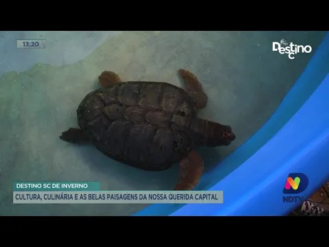 Destino SC de Inverno: cultura, culinária e as belas paisagens da nossa querida Florianópolis