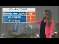 A look at pollen count in North Texas