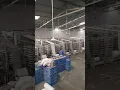 Rajkot Gj 0 5 yeah se aapko Rajkot ki company ke bare mein batao Rajkot YouTube