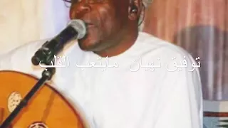 توفيق نهيان   م يتعب القلب دندنها